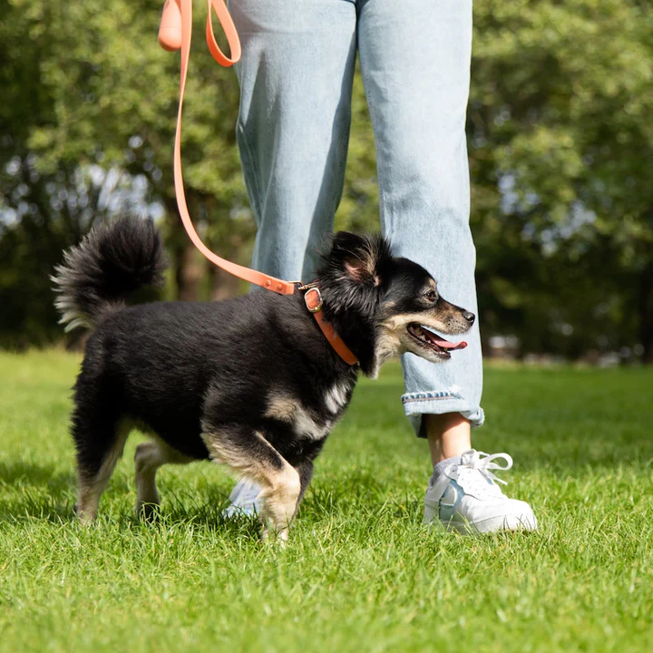 Creating change with every walk